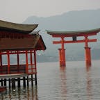 嚴島神社の大鳥居

現在の大鳥居は、平安時代から8代目にあたり、明治8年（1875）に再建されました。笠木と島木は箱になっており、石や砂が約5t詰められています。根元は海中に置かれているだけで、自重で立っています。主柱の基礎は、千本杭［せんぼんくい］が用いられ、45cmから60cmの松杭がそれぞれの柱に約30本から100本打ち込まれています。楠は、比重が重いことと、腐りにくく、虫に強いからです。
棟の西側には三日月が、東側には太陽の印があり、陰陽道の影響がみられます。

#サント船長の写真　#鳥居　#神社仏閣