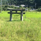 深田の鳥居

臼杵市の『深田の鳥居』は、(昭和54年5月15日　県指定文化財に指定)

#サント船長の写真　#鳥居　#神社仏閣　#九州