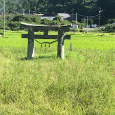 深田の鳥居

臼杵市の『深田の鳥居』は、(昭和54年5月15日　県指定文化財に指定)

#サント船長の写真　#鳥居　#神社仏閣　#九州