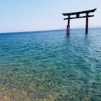 滋賀　白鬚神社
琵琶湖は汚いことで有名だったから、この場所の透明感に驚いた。申し訳ないながらも、鳥居よりそっちに感動してた。