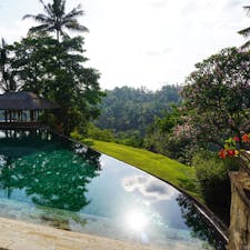 バリ島・ウブドにひっそりと佇むアマンダリ。プールの水面がまるで鏡のようです。
#バリ島 #アマン #プール