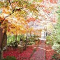 京都府八幡市にある、紅葉寺🍁
小さなお寺ですが見事な紅葉で穴場スポットです！