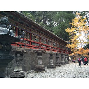 【栃木県】
日光東照宮
毎年紅葉の時期に🍁
#世界遺産