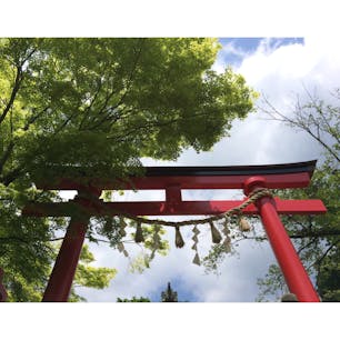 【東京都】
高尾山薬王院有喜寺
ずらーっとそびえ立ち威圧感満載の高層ビル群に嫌気がさしたら
高尾山に行きます。
東京にも緑はある🌿