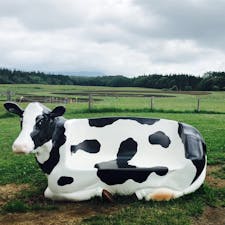 見えにくいですが、後ろの草原に🐑がたくさんいます🐮