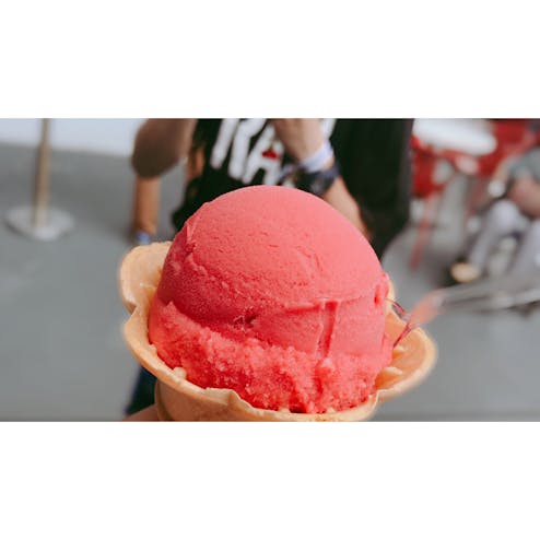 鶴岡市立加茂水族館