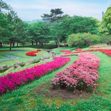 5月中旬の別府公園♩