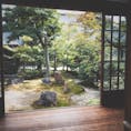 京都・建仁寺の庭
となりの正伝永源院に行こうと思いましたが時期ではなく閉まっていました。
建仁寺には行くつもりはなかったのですがせっかくなので行きました。
前知識入れてなかったので感動したのと同時に天井の竜の存在を知らずに帰りました笑
