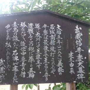 弁慶の最期の地

武蔵坊 弁慶（むさしぼう べんけい、武藏坊 辨慶
文治5年閏4月30日〈1189年6月15日〉は、平安時代末期の僧衆（僧兵）源義経の郎党。

しかし武蔵坊弁慶の事は殆ど何も判らないのですが、源義経の家来と言う事は本当らしいです、又「静」と言う文字もあるらしい、
コレは吾妻鏡に書かれて居ます。

#サント船長の写真　#武蔵坊弁慶伝説
#歴史的人物の終焉地