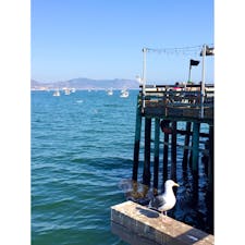 アヴィラビーチ(カリフォルニア)

サンルイス・オビスポ港から、歩いて10分ぐらいの桟橋の上にある、カジュアルなシーフード・レストラン、マーシーズ(Mersea’s)。

180度オーシャン・ビューのテラス席で、のんびり食事ができる。ベジタリアン向けのメニューもあり。

食後は桟橋を散歩しながら、海面で遊ぶラッコ・ウォッチング。

#sanluisobispo #avilabeach #california #merseas