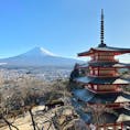 2020年春 快晴 新倉山浅間公園から見た富士山