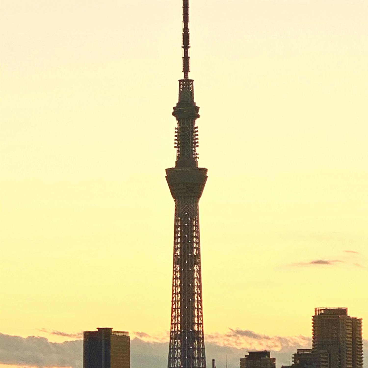 東京スカイツリーの投稿写真 感想 みどころ 夕日に映える東京スカイツリー トリップノート 東京スカイツリーの投稿写真 感想 みどころ 夕日に映える東京スカイツリー トリップノート