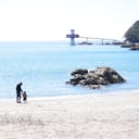 22年 足摺海底館 あしずりかいていかん はどんなところ 周辺のみどころ 人気スポットも紹介します