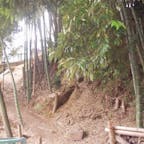 明智光秀の最期の地
本能寺で織田信長を討ち、天下を取りましたが、山崎で秀吉に討たれ光秀が敗走中、落武者狩りに遭ったとされているのが京都の小栗栖（おぐりす）。そこには今も「明智藪」と呼ばれる、光秀最期の地が残っています。観光地化されていないマイナーな場所ながらも、光秀の最期を辿って訪れる人が後を絶ちません。

#サント船長の写真　#歴史的人物の終焉地　#京都