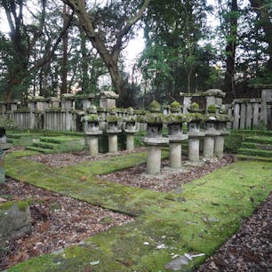 #東光寺
#灯籠
#萩
#山口県