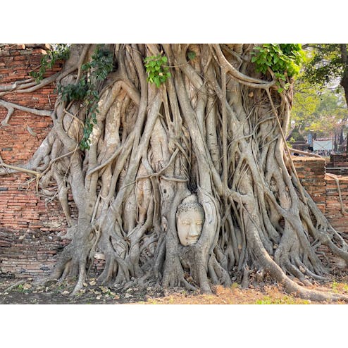 ワット・プラ・マハタート