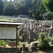 鵜川四十八体仏郡
本来は四十八体ですが、現在は鵜川に33体、大津市坂本の慈眼堂に13体が、それぞれ安置されており、残り2体は行方知れず、つまり盗難ですね。

#サント船長の写真　#石仏巡り　#石像