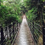 静岡県伊東市の橋立吊橋です