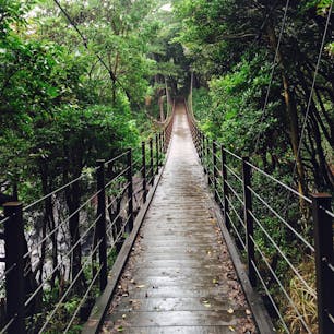 静岡県伊東市の橋立吊橋です