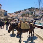 ギリシャ
エーゲ海
イドラ島
この島は車の乗り入れが禁止されているため、移動は、徒歩かロバ^ ^