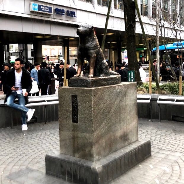 忠犬ハチ公像の投稿写真 感想 みどころ 渋谷のハチ公 サント船長の写真 銅像石像 トリップノート 忠犬ハチ公像の投稿写真 感想 みどころ 渋谷のハチ公 サント船長の写真 銅像石像 トリップノート