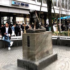 渋谷のハチ公

#サント船長の写真  #銅像