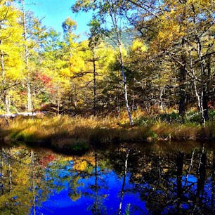蓼科

#蓼科 #長野