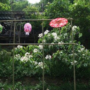 台湾　苗栗県三義に客家桐花祭を見に行った時の写真　勝興の旧駅舎から