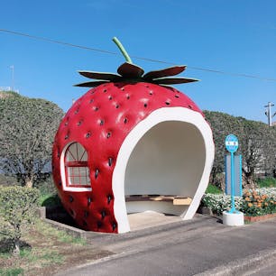 .
ﾌﾙｰﾂﾊﾞｽ停🍓
いちごのﾊﾞｽ停が1番可愛かった🍓
