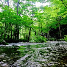 奥入瀬渓谷

#奥入瀬 #青森県