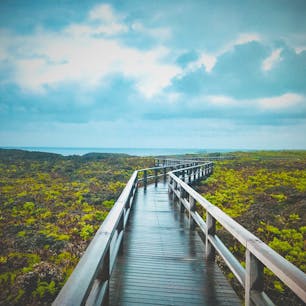 通り池の遊歩道

#通り池 #宮古島