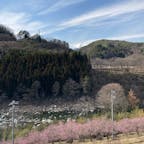 道の駅木曽福島から見える御嶽山と木曽川沿いの梅
