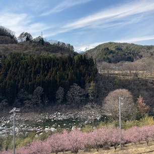 道の駅木曽福島から見える御嶽山と木曽川沿いの梅