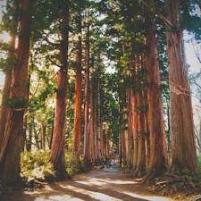 戸隠

#戸隠 #長野県