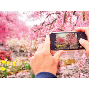 ☝︎鈴鹿の森庭園