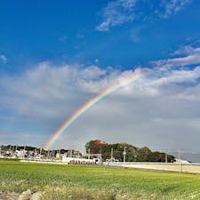 雨が止んだあと、撮りました

埼玉県桶川市です