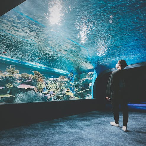 沖縄美ら海水族館