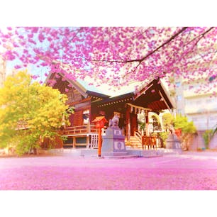 #東京
#神社巡り

とっても綺麗でした☺️🌸