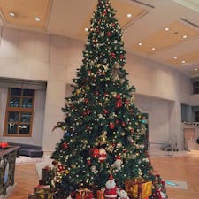 🎄
#ヒルトン東京ベイ