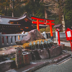 九頭龍神社・新宮