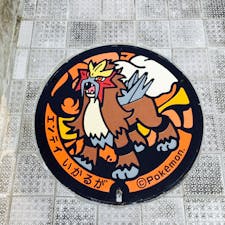 ポケモンマンホール
法隆寺の駐車場近くに設置されてました。
斑鳩町には全部で5枚設置されているそうです。