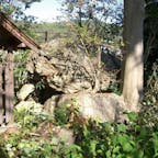 謎の人面石
此処は広沢一号墳の古墳が有り昭和31年の発掘で石室は壊され石棺もバラバラにされた事が判りました。
左手の小屋に人面石が祀られて居ます。

#サント船長の写真　#京都