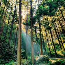 越生

#越生町 #埼玉県