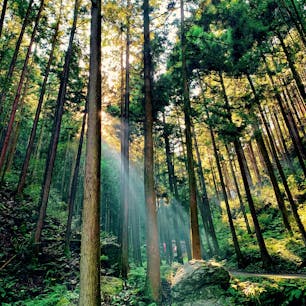 越生

#越生町 #埼玉県