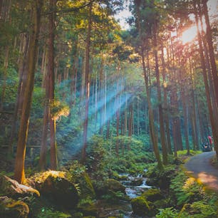 越生

#越生町 #埼玉県