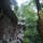 重慶市大足宝頂山石刻　暑かったので木陰で一休み　中国三大かまどと言われる都市だけあって40度だった(17年8月)