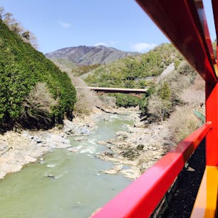 嵐山のトロッコ乗ってきましたー。野生のシカと猿もいて、楽しかったー！