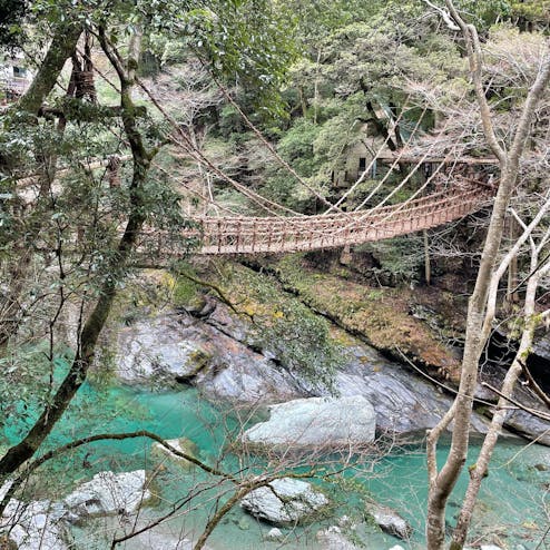 祖谷のかずら橋