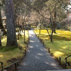 京都　大原三千院
とても静かでした。