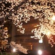 祇園白川の桜

#サント船長の写真 #サントの桜巡り　#京都